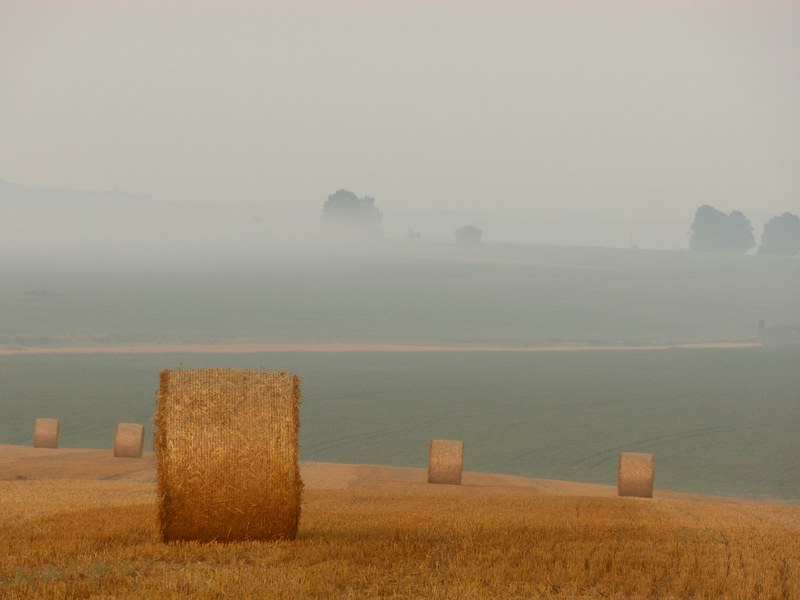 fields of hay with scattered bales against a misty rural backdrop, hayfield and hay bales 4k