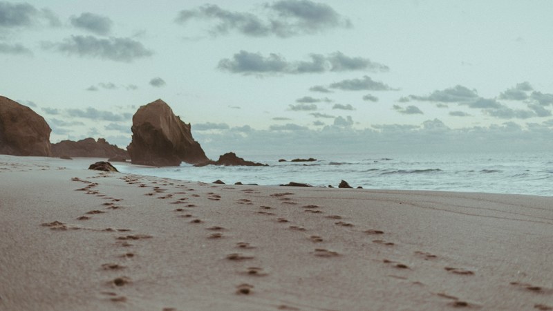 footprints at the sand beach by the ocean in santa cruz, footprints in the sand 4k