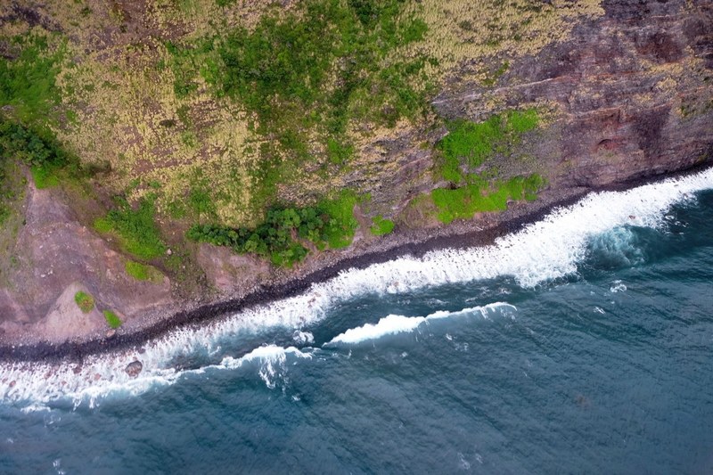 a drone view of a coastal landscape of trees and water, coastal drone view 4k