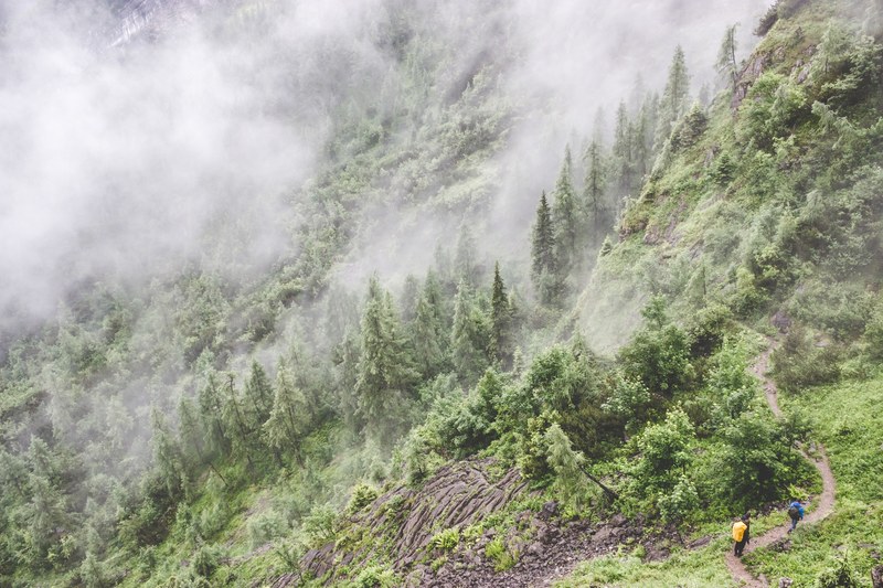 hikers walking along a narrow path on a wooded slope enveloped in fog, hikers on a misty slope 4k