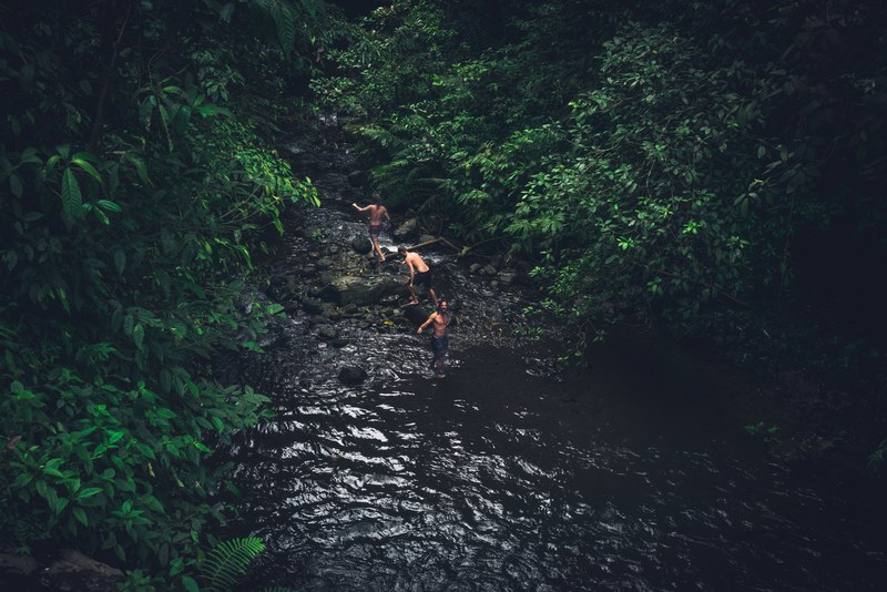 a group of shirtless male friends climbing some river rocks and into a forest of trees, men adventuring in river 4k