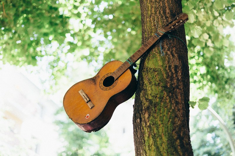 tree stringed instrument protective covering and shelter 4k