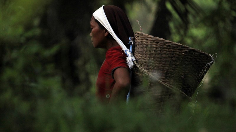 a woman standing among plants with a basket hanging from her forehead by a scarf, woman carrying basket on head 4k