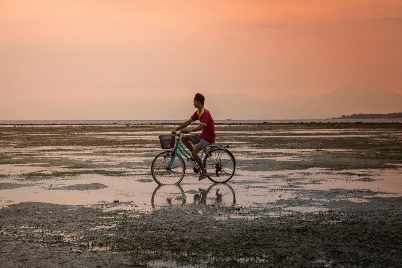 person riding a vintage bicycle through a wet field at sunset, biking at sundown 4k