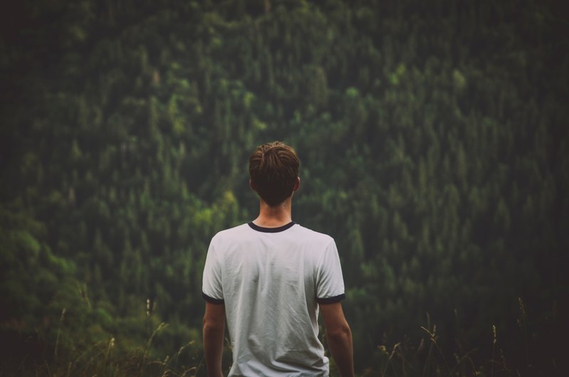 a young man standing back to camera and looking off into the forest, man in a t shirt over a forest 4k