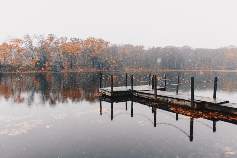 winter meets fall 4k