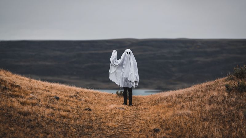 anonymous, field, horizon, 4k