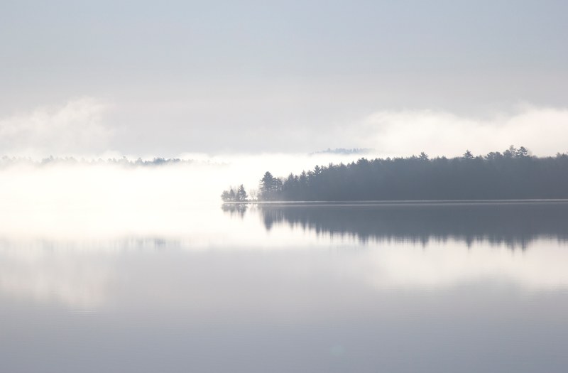 reflections of forest and clouds in a still clear lake, lake reflections 4k