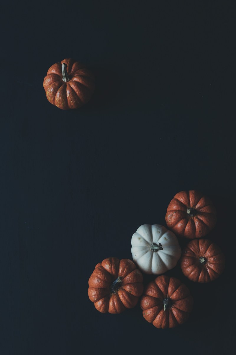 orange and white pumpkins on a black surface by scott webb photography, scott webb photography pumpkin 4k
