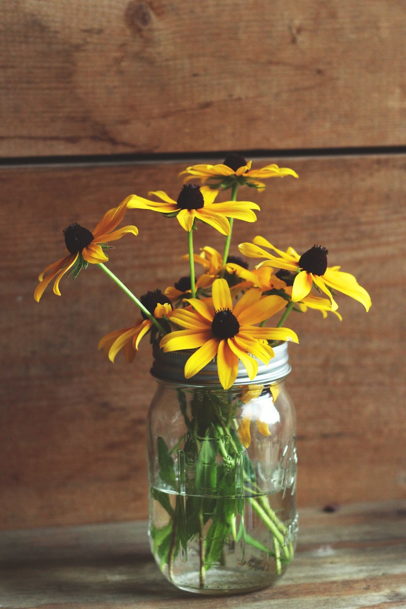 yellow black eyed susan flowers in a glass jar, black eyed susan bouquet 4k