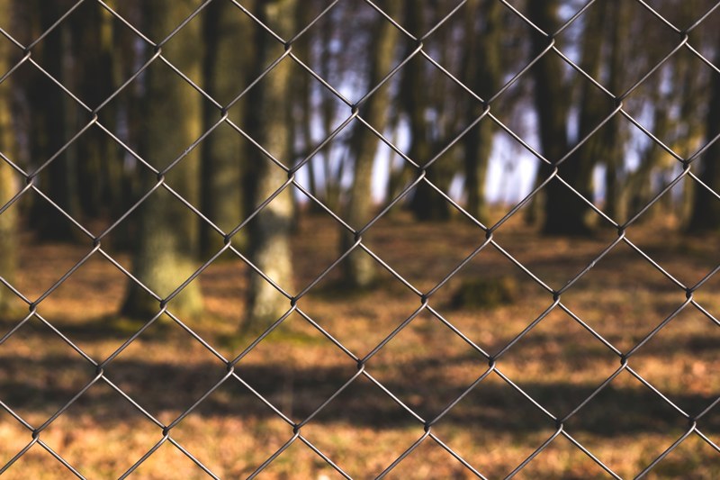 tree fence barrier and chainlink fence 4k