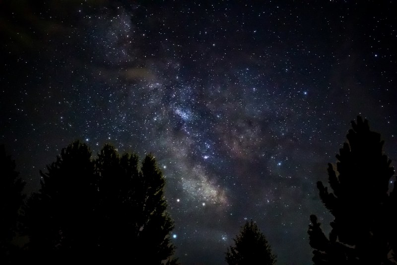 the nebula above the silhouette of trees as seen in edwards, _nebula silhouette tree edwards 4k