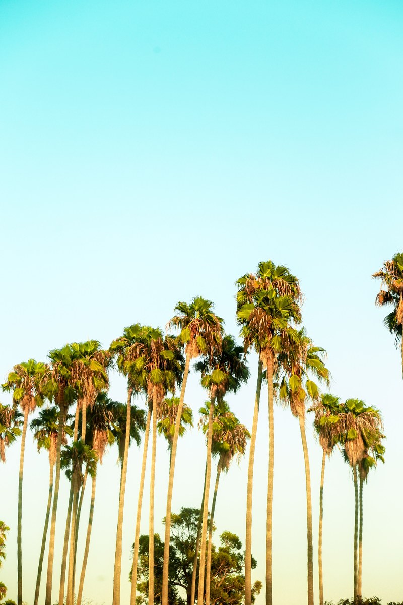 orange county californium sky and ohana hd, 4k