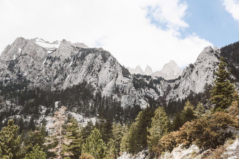 hike hiking wood and lone pine 4k