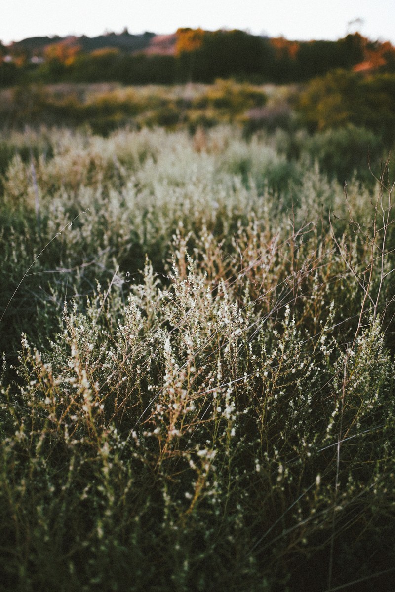mountain moody looks like film and vsco hd, 4k