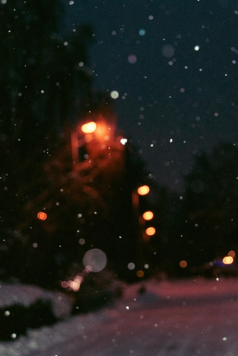 lost in the blizzard 4k