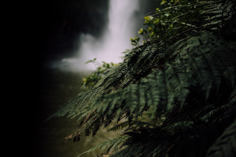 moody mood beautiful and walk 4k