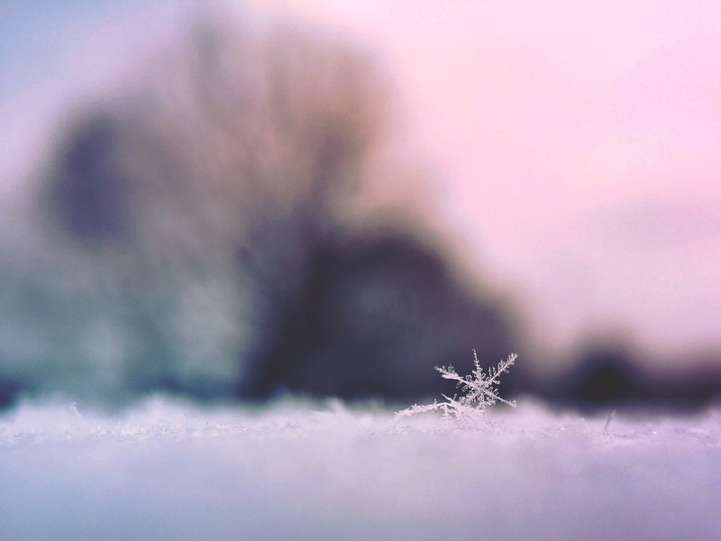 snow iphone 6 iphone and macro 4k