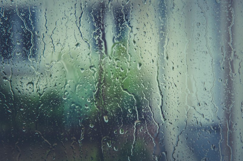 water rain drop raindrop and drop 4k