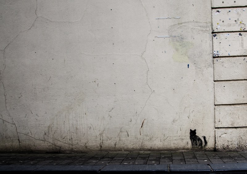 textured grungy white wall with mini black cat graffiti artwork in kilkenny, black cats for good luck 4k