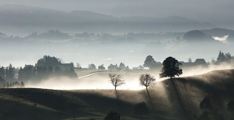 sun peaks through mist in foggy farmland in hirzel, foggy farmland 4k