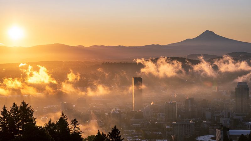 city, fog, sunset, 4k