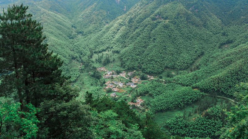 mountains, trees, top view, 4k