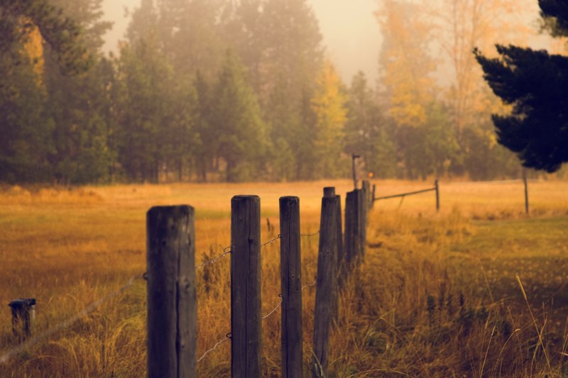 a low wooden fence with a wire in a field, farm fence 4k