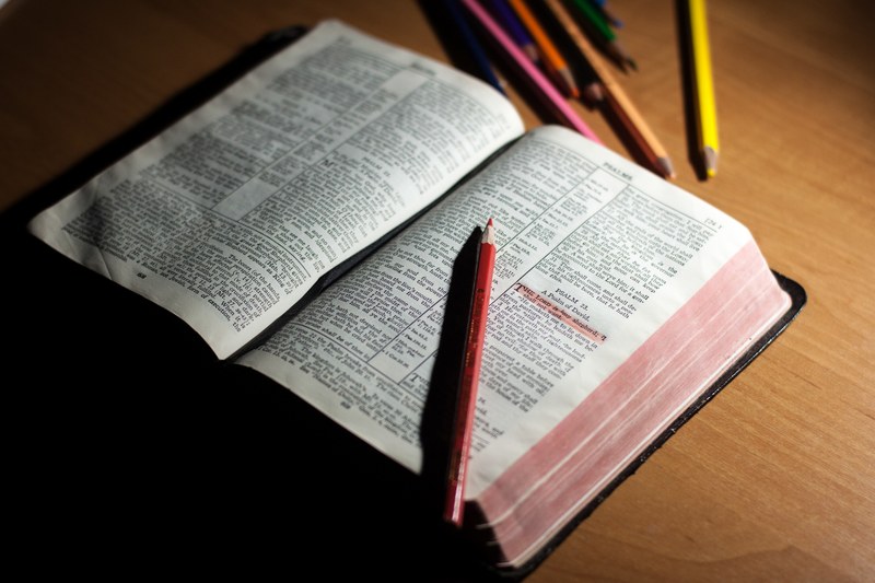 a red pencil sitting on an open book which was used to highlight a line of text, _red pencil crayon highlight 4k
