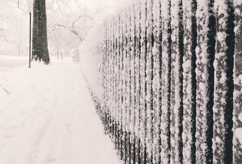 snowstorm corner line and yard 4k