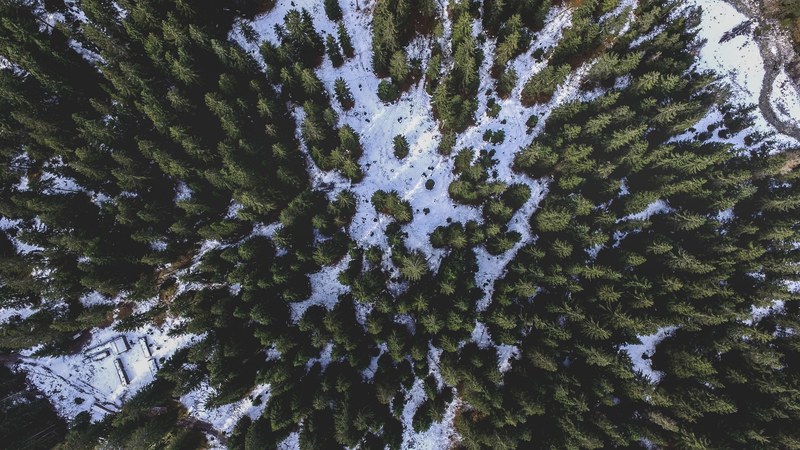 a drone shot of a coniferous forest in leutasch in winter, best seat in the house 4k