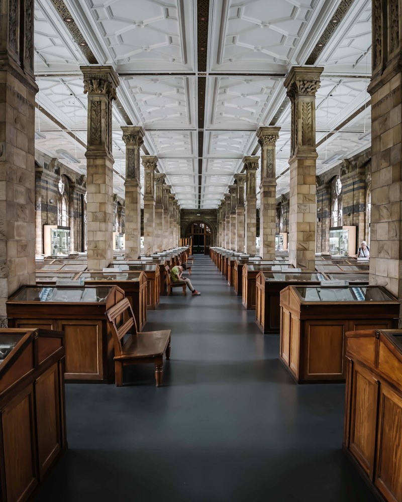 a young man sits on a bench at the minerals gallery natural history museum in london, _all in a row 4k