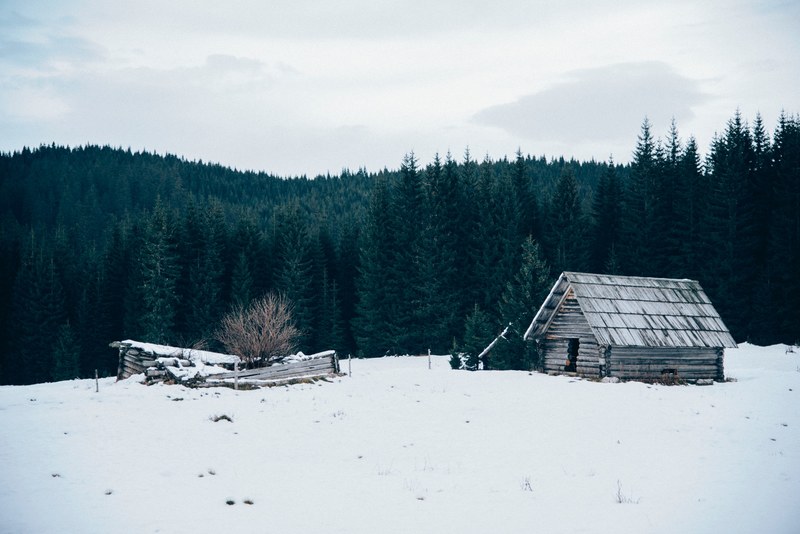 a wooden cabin and a derelict shack near a pine forest on a winters day, snowy cabin in the woods 4k