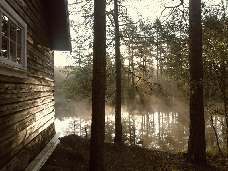 a cabin wall near a misty body of water with sunrays shining through the trees, cabin over a misty pond 4k