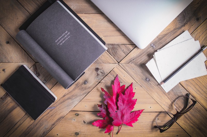 when the leaves begin to fall i read 4k