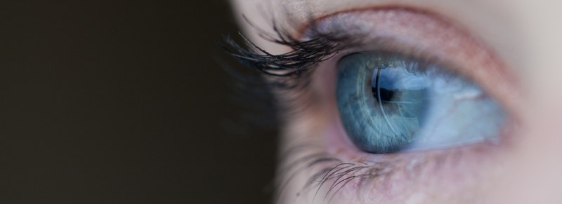 eye eyelash eyelid and vision 4k