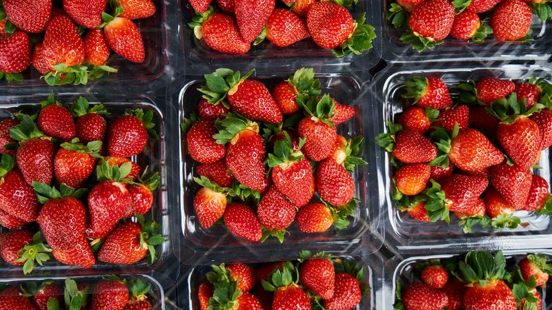 strawberries, berries, ripe, juicy, 4k
