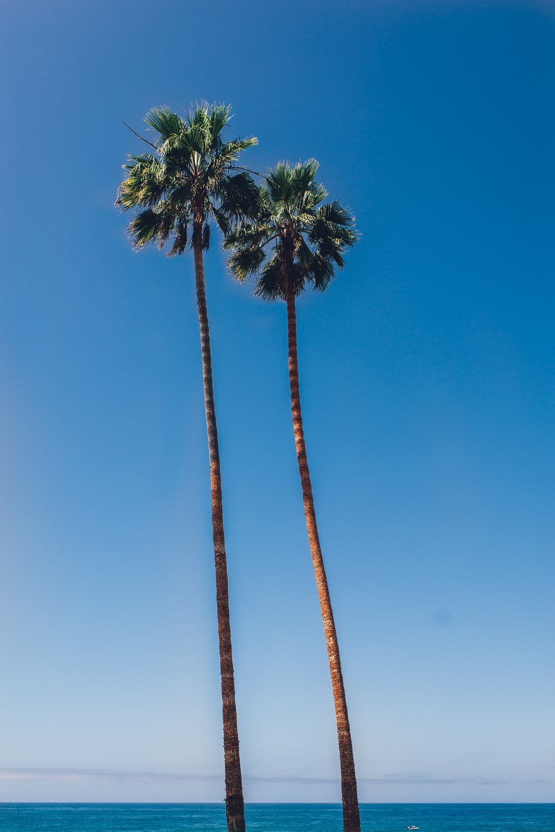 beach ocean san diego and californium hd, 4k