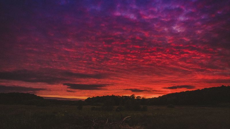 sunset, field, sky, beautiful landscape, 4k
