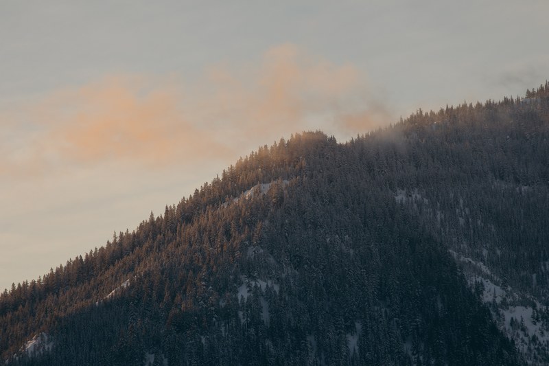 wispy clouds over a snow covered wooded slope, clouds over a snowy hill 4k