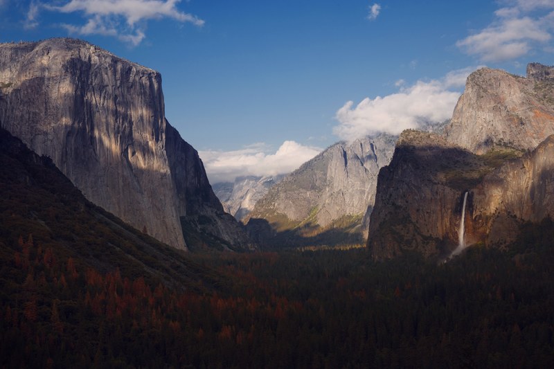 long shadows on the wooded floor of yosemite valley, yosemite valley 4k