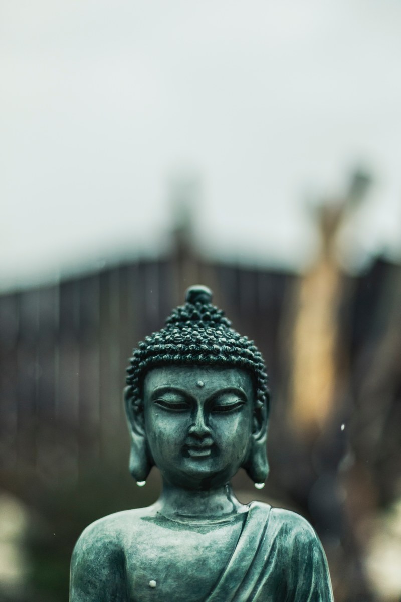 rain bokeh and buddha hd, 4k