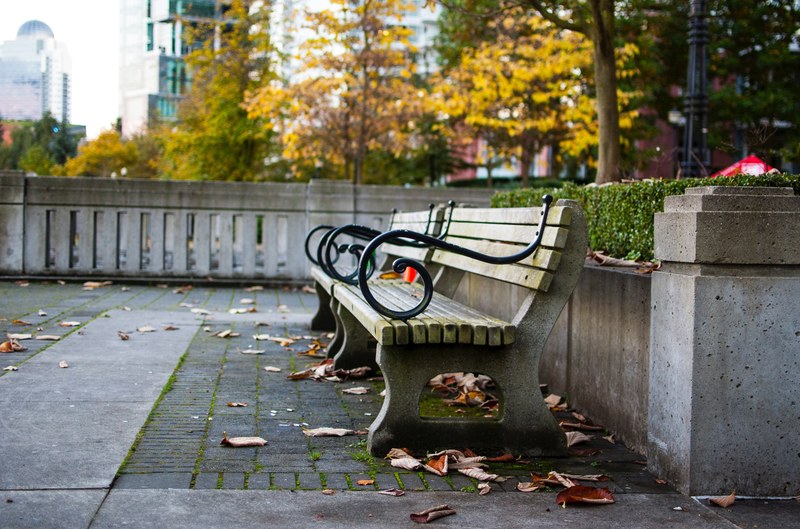 bench tree fall and park 4k