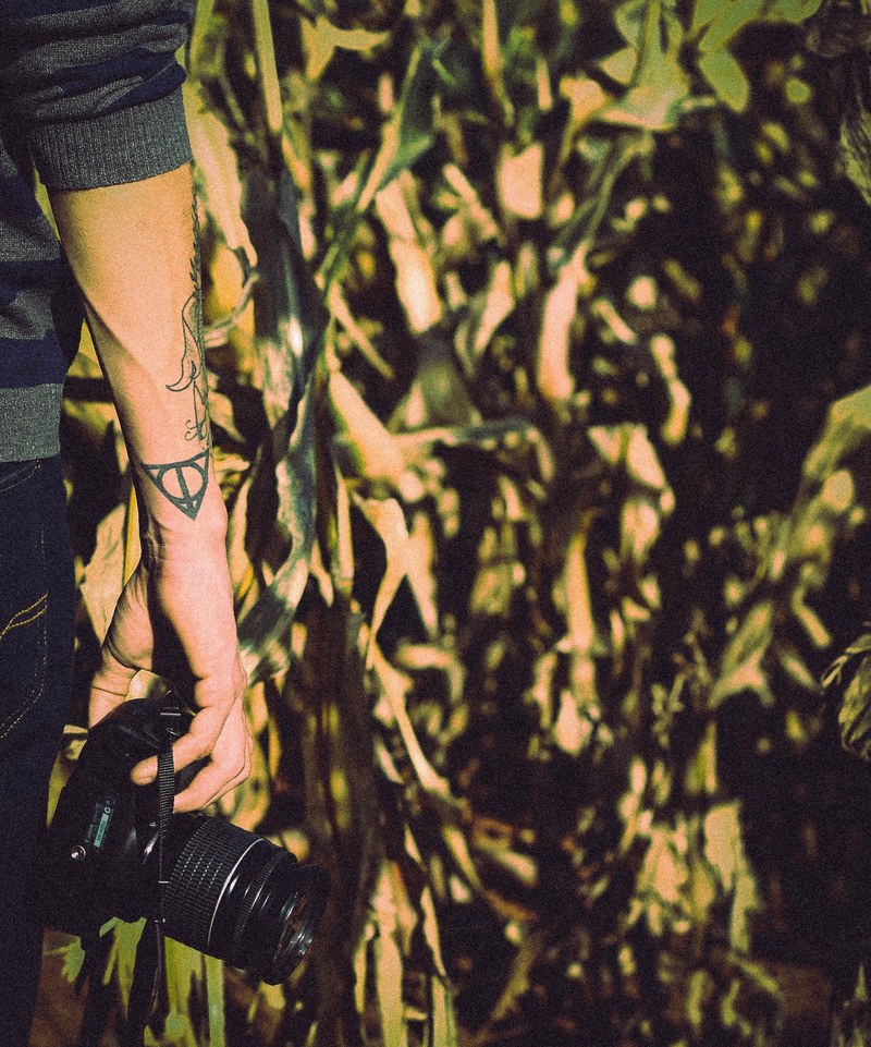 tattooed photographer standing in front of a cornfield holding his dslr camera in the sunshine, photographer by a cornfield 4k