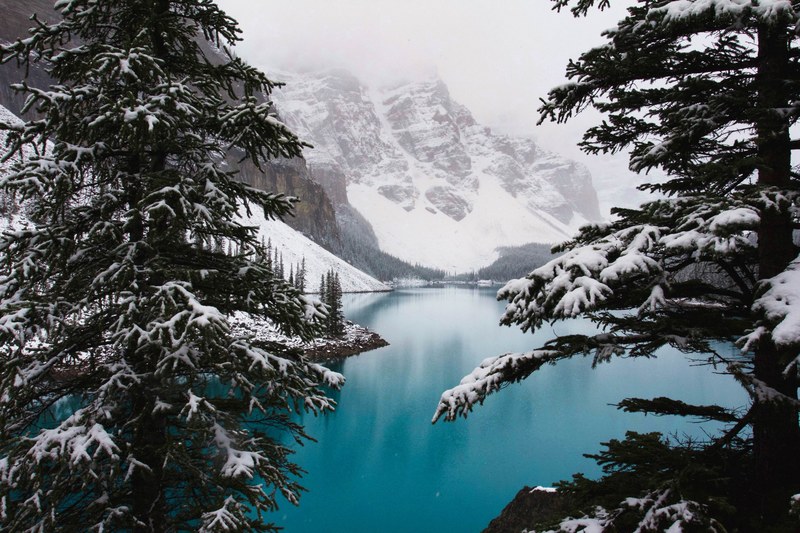 an evergreen setting around the blue water of lake louise in alberta, moraine lake 4k
