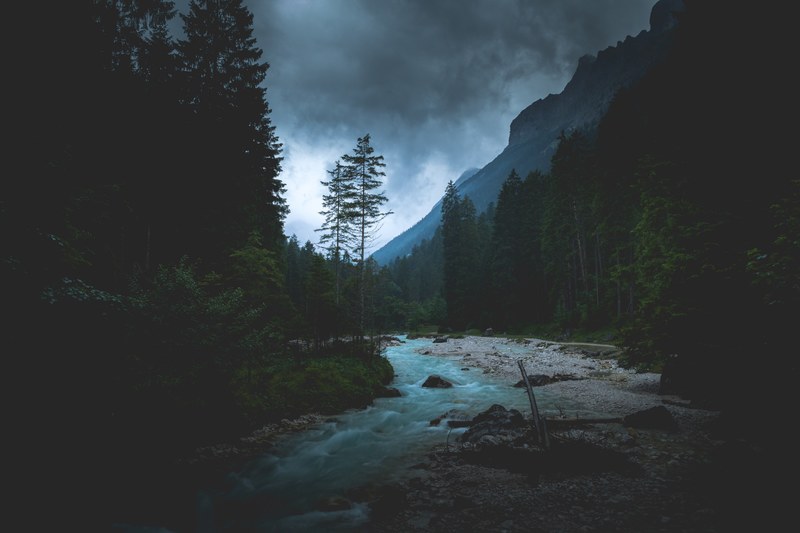 a fast flowing stream in a mountain forest in the evening, evening over a bubbling stream 4k