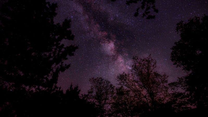 starry sky, stars, sky, night, trees, 4k