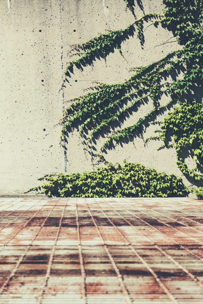 shadow concrete metal and botanical hd, 4k