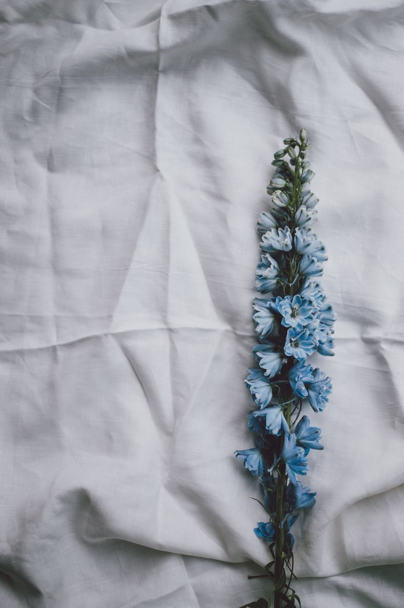 crumpled blues 4k