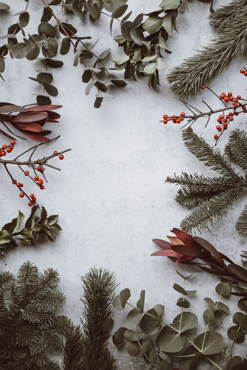 christmas background pine eucalyptus berries 4k